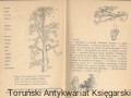Skan_20260408 (13).jpg