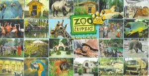 Pocztówka. Zoo der Zukunft: Naturerlebnis im Grossstadtdschungel / Brak autora 