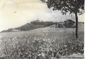 Pocztówka. Holzhausen Krs. Arnstadt. Wachsenburg  / Brak autora 