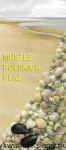 Muszle polskich plaż  / Praca zbiorowa 