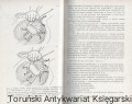 Skan_20260514 (21).jpg