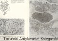 ch7.jpg