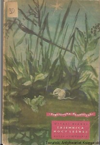 Tajemnica nocy leśnej : Biblioteka Płomyczka / Witali Bianki           