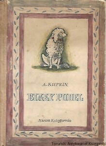 Biały pudel / A. Kurpin                  