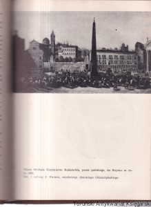  Król w Nieświeżu / Józef Ignacy Kraszewski