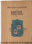 Bruhl : Powieść historyczna z XVIII wieku : Z portretem autora i 16 ilustracjami / Józef Ignacy Kraszewski