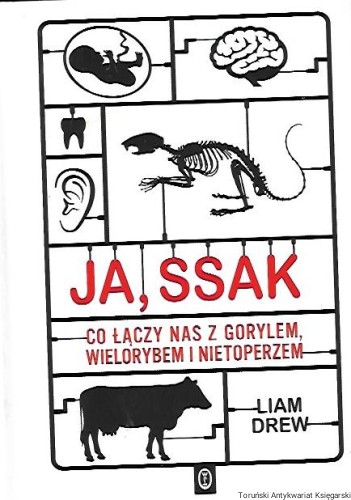 ja.jpg