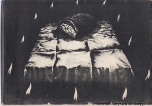 Kamień wiary : wybór wierszy / Wyboru wierszy dokonali Ewa Odachowska-Zielińska, Andrzej Robert Zieliński