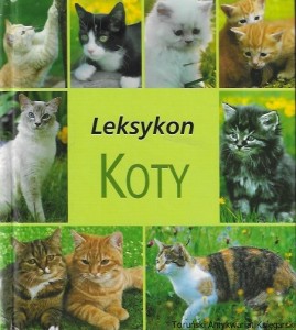 Leksykon koty  / Praca zbiorowa