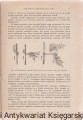 anatomia - 0002.jpg