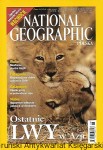 National Geographic Polska Nr 6 (21) czerwiec 2001 : Ostatnie lwy w Azji / Praca zbiorowa 