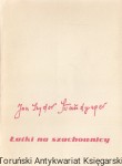 Łatki na szachownicy / Jan Izydor Sztaudynger