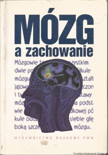mózg0001.jpg