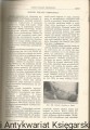 pediatria0004.jpg