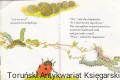 the hedge1.jpg