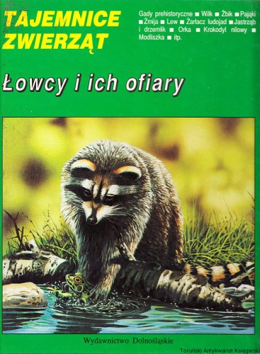 l.jpg