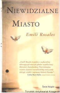 Niewidzialne miasto / Emili Rosales