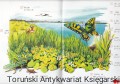 ortografia3.jpg