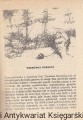 wielka wloczega1.jpg