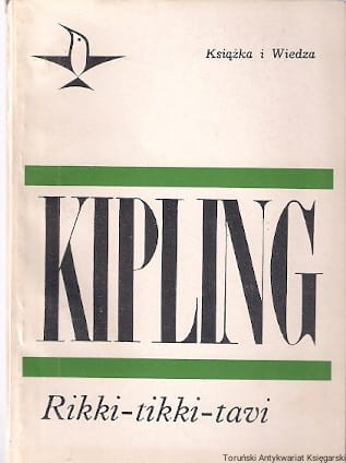 rikki0001.jpg