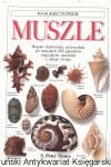 Muszle / S. Peter Dance