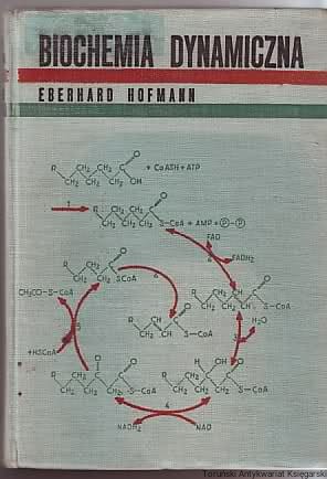 bio.jpg