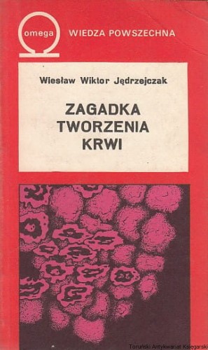 z.jpg