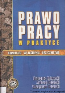 Prawo pracy w praktyce : Komentarz, Wyjasnienia, Orzecznictwo / Grzegorz Orłowski, Andrzej Patulski, Władysław Patulski