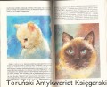 per_0004.jpg
