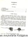 klu1.jpg