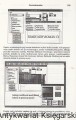 ami pro5.jpg