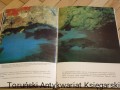 DSCF1042.JPG
