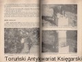 p1.jpg