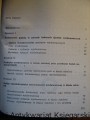 syt1.jpg