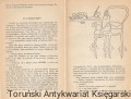 ktoz1.jpg