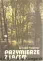przymierze.jpg