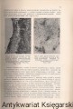 p1.jpg