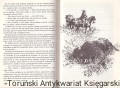 czarny mustang2.jpg