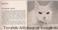 koty0004.jpg