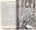 wladca ognia2.jpg