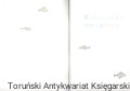 kolysanka.jpg