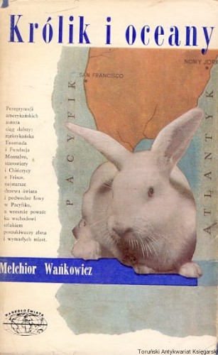 krolik ISKR.jpg