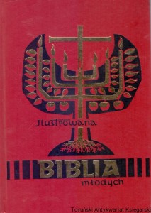 Ilustrowana Biblia młodych / Ks. Tomasz Hergesel (oprac.)