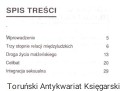 milosc WYD APOL MOD2.jpg