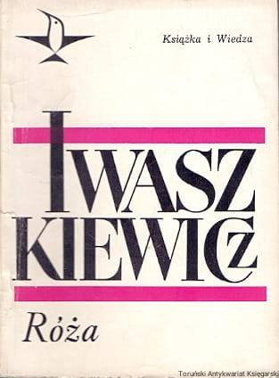 rozaa KiW.jpg