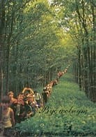 Być wolnym : Pogadanki w Radiu Maryja / Wacław Dokurno 