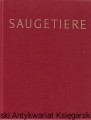 sauge.jpg