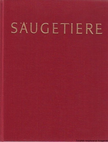 sauge.jpg