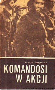 Komandosi w akcji / Andrzej Perepeczko