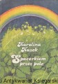 spacerkiem przez.jpg